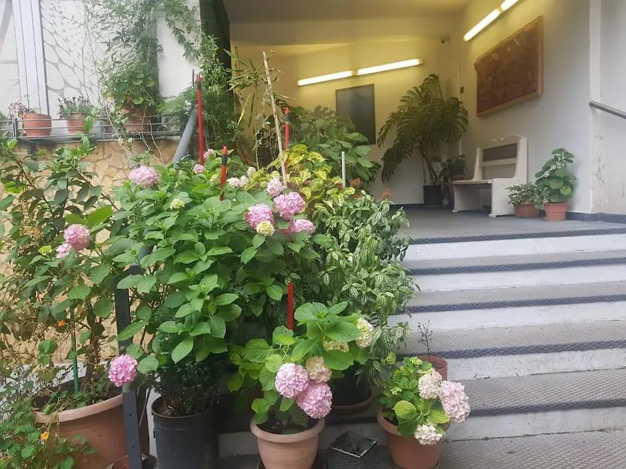 Pazari_Ri_Studio Apartment Tirana 0*,